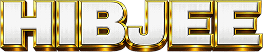 bdhibjee.com Logo